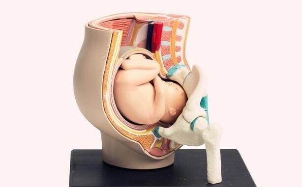 怀孕36周，为什么胎儿的胎动还是特别多？多半跟3个原因有关