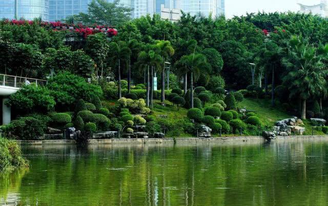 中国绿化最好三座城市，绿化程度不比日本差，其中有一座就在广西