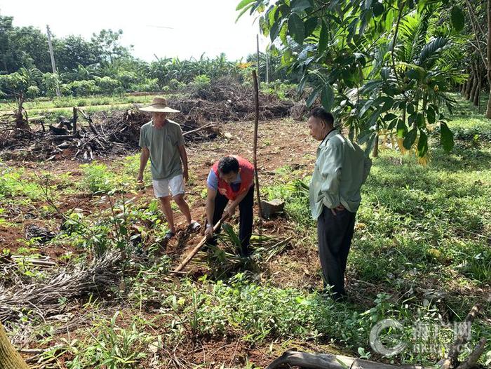 琼山区司法局云龙司法所调解志愿服务队化解一宗土地纠纷