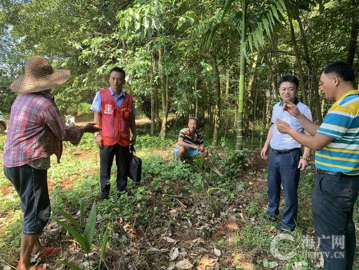 琼山区司法局云龙司法所调解志愿服务队化解一宗土地纠纷