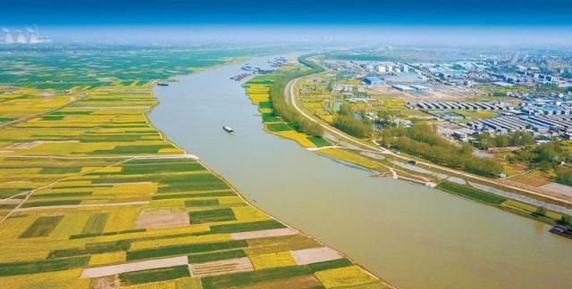 新一轮传闻揭秘：沈阳小河沿公园大姐为什么那么火？背后有哪些故事