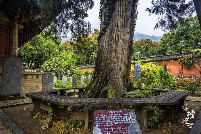 少林寺游客众多，旁边的初祖庵充满了古朴安逸，这才是深山古寺