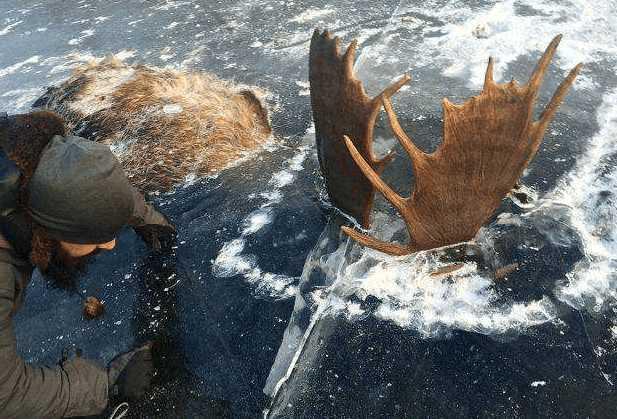小伙和朋友外出散步，发现冰面有两只鹿角，靠近后一看让人痛心了