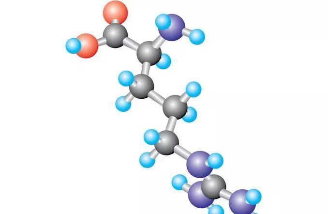 科学家发现：创造单链蛋白质纳米结构的新方法