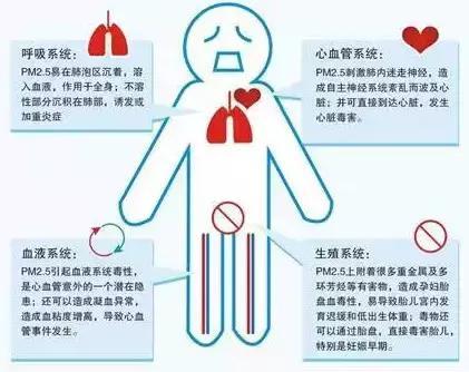 不做“人肉吸尘器”，汽车防霾4大招，你应该拥有！