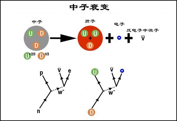 这就是为什么中子和质子的质量差很小，却能发射超重W玻色子