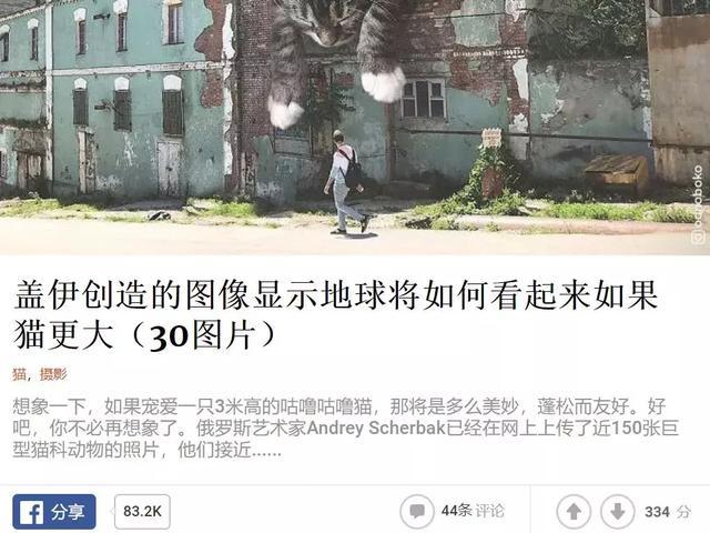 他养了一只3米高的猫，私密照曝光后，10万人一起云撸猫！