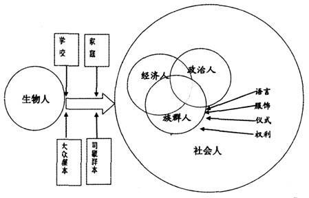 虹野：学校的“围墙”，学生社会化的风险