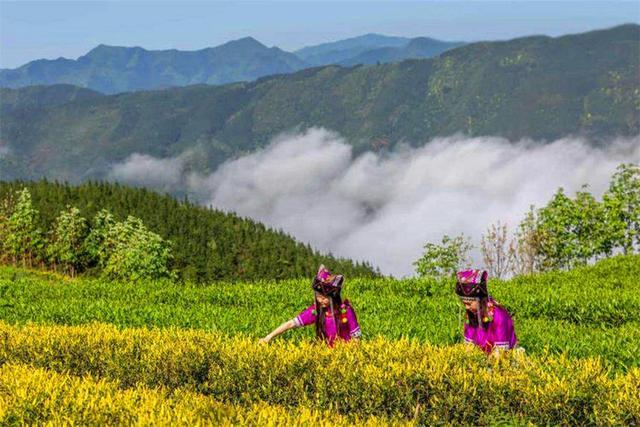 河南逆袭最成功的景区，从荒山到景区门票120游客不断