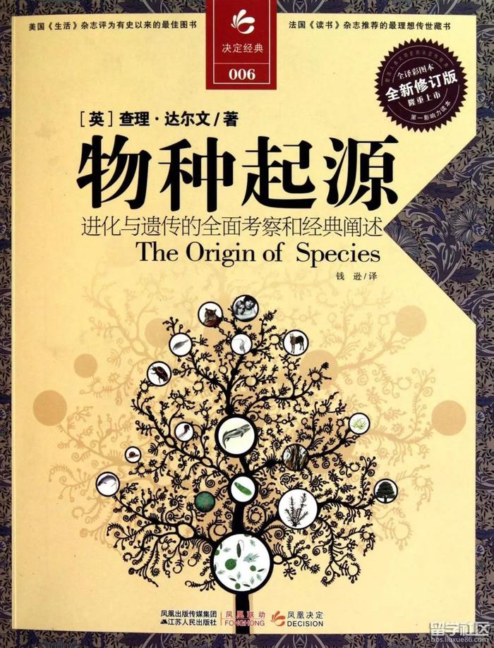 哪些生物与人类智力相当？黑猩猩、海豚、放屁甲虫和细菌上榜