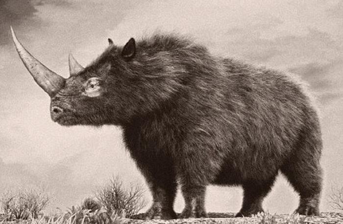 冻土融化后，西伯利亚出现14300年前动物，其身世极为诡异