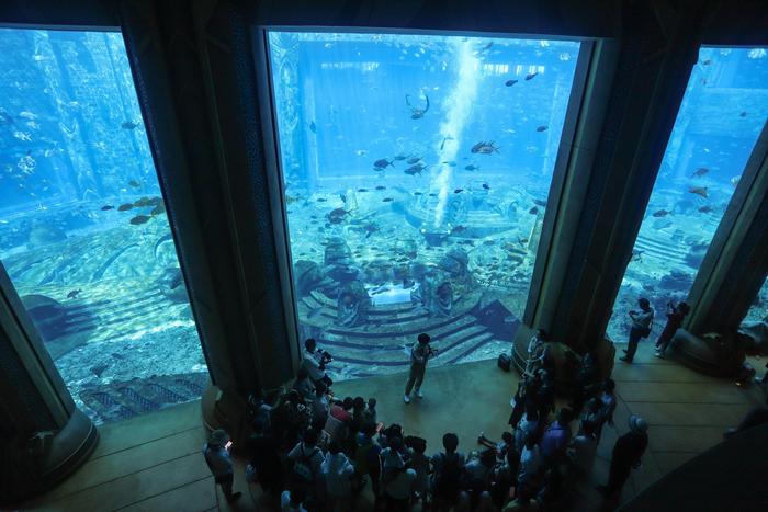 海南一座水族馆，以亚特兰蒂斯命名，实景演出堪比好莱坞大片