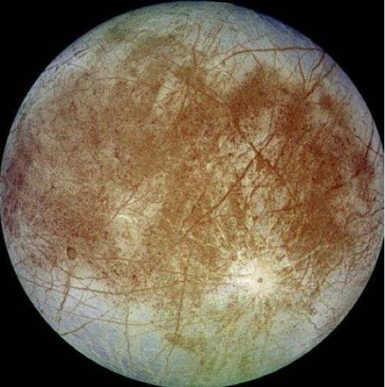 太阳系内含水量多的星球不是地球？而是被称为“地球二号”的它