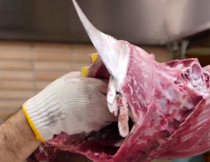 日本大厨处理极品金枪鱼，只为取1勺“鱼油”，网友直言太任性了