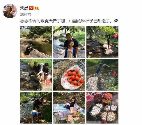 姚晨曹郁带一双儿女露营，土豆茉莉长相随爸爸，长腿则遗传妈妈