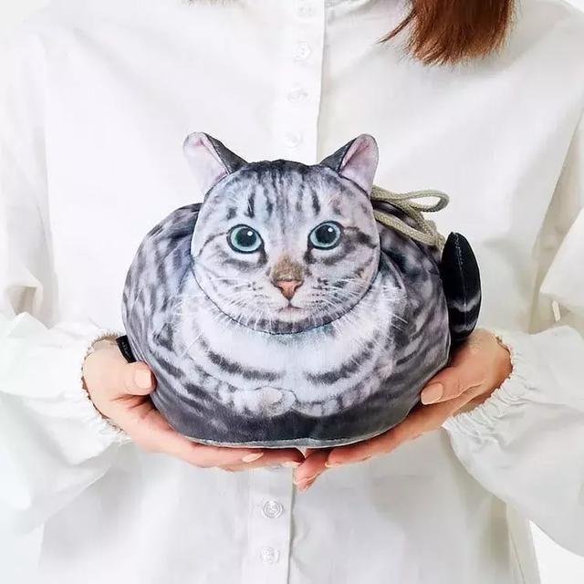 把猫咪背在背上，这猫咪包袱真的太可爱了