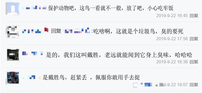 男子钓鱼捞起怪鸟，以为是保护动物，网友：倒霉鸟，赶紧丢