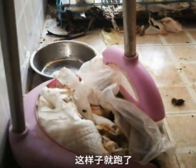 租房期满后失联“狗屎女网红”现身: 我已获谅解