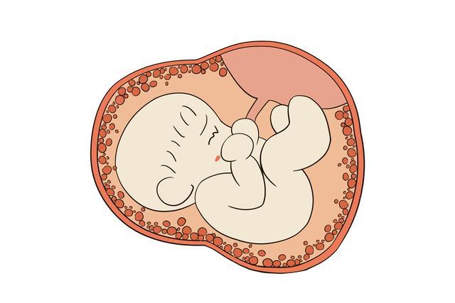 三种胎盘分娩方式，最后一种多数产妇难以接受，反而很多人都经历