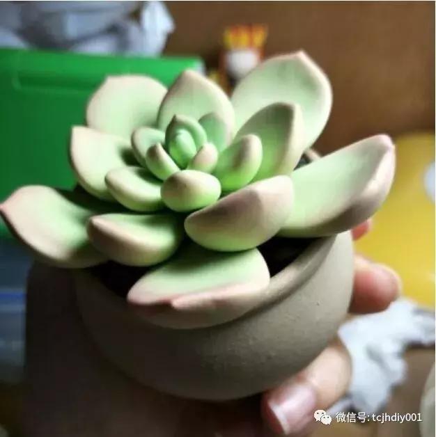 手工DIY彩泥粘土多肉植物盆栽制作教程分享