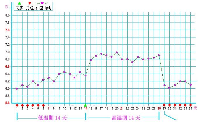 怎样才能知道女性的安全期？七种经典的方法，你要掌握