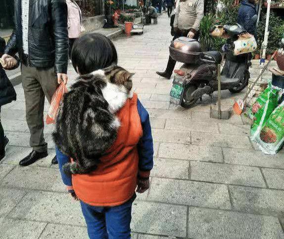 小孩背的逼真猫型书包很好看，走近一看，这包一般人还真没法背