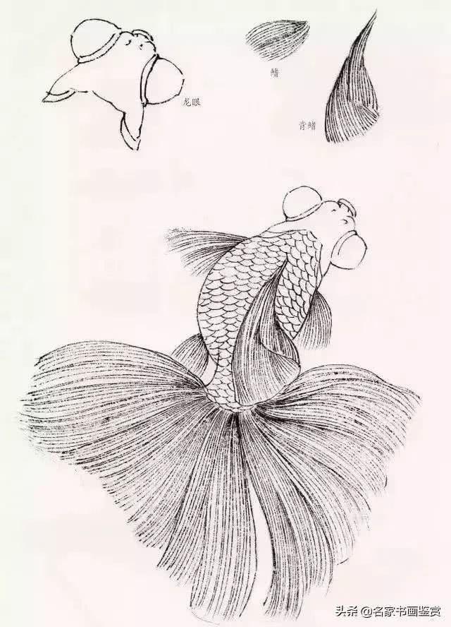 工笔画金鱼详细图文教程