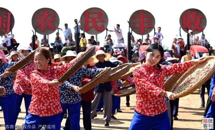 直播大别山下最美乡村过丰收节 农民现场表演抢收