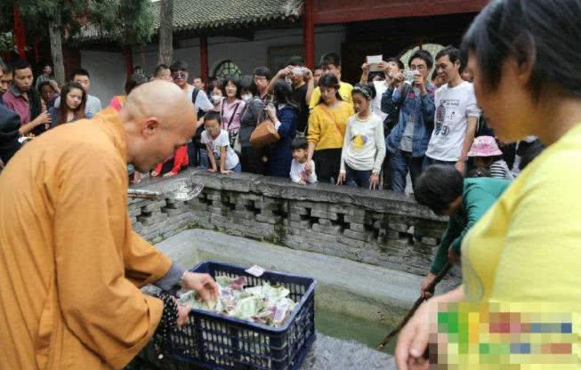 动物园龟背粘竹筐，插国旗！诱导游客朝池子里投币，想钱想疯了