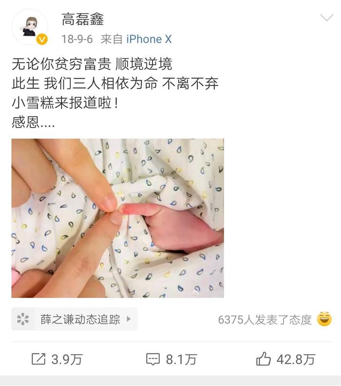 薛之谦新歌《尘》是为儿子小雪糕写的？