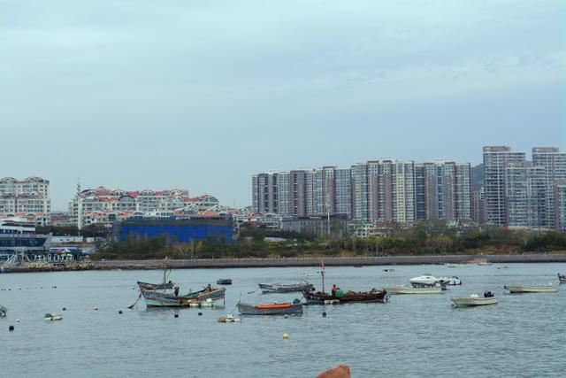 小麦岛华丽变身网红打卡地，一座小岛处处都是景点