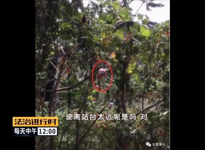 北京石林峡景区儿童从缆车坠落 景区赔偿39万 现场还原事发细节