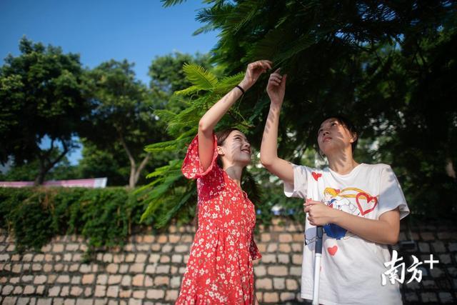 原来，盲人能看到这些！跟拍广东首位全盲高考生的大学生活