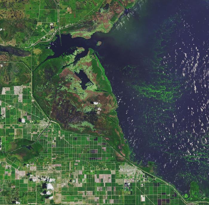 NASA卫星扫描中俄边界！发现“汉卡湖”变绿了，但这不是好事