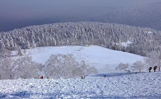 有一种雪，叫只有去过雪乡才懂得！雪乡有朋来客栈体验一回东北