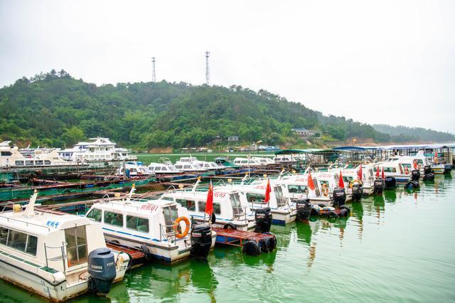 广东最美的湖泊之一，一年四季碧波万顷，超级适合度假的小众景点