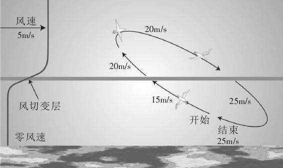 大难不死的大型海鸟——漂泊信天翁