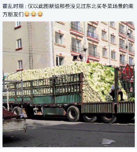 囧哥:欧皇附体！车主自助选号机摇到c00001