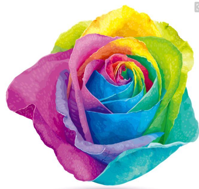 秋天就养彩虹玫瑰，像被染料染过，花瓣是彩虹色，散发出香甜味