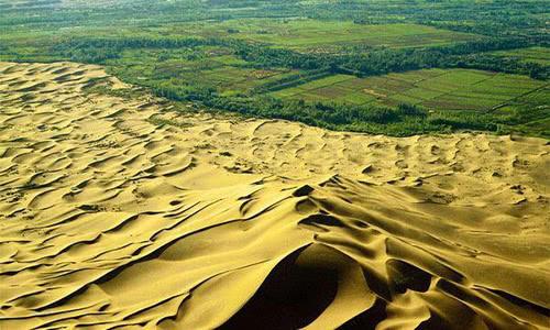 最适合种植水稻的地方竟是沙漠！中国再次征服世界