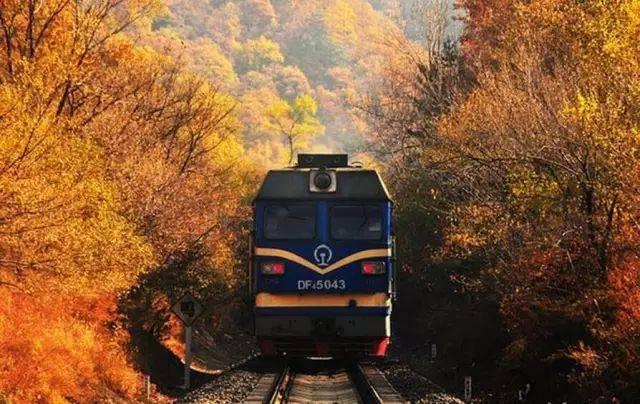 坐上一列开往长白山绿皮火车，一路秋景如油画