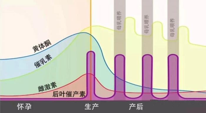 剖腹产宝宝第一口也能吃到母乳，正确开奶、选对哺乳姿势是关键