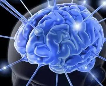 人的大脑能感应磁场的变化，“第六感”被证实存在