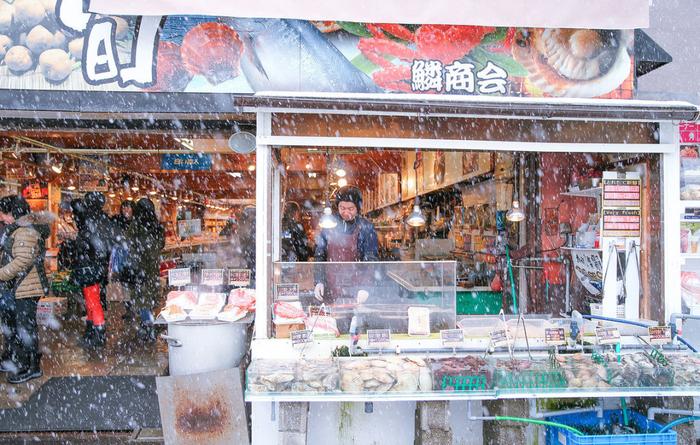 收藏！经典的北海道七天之旅