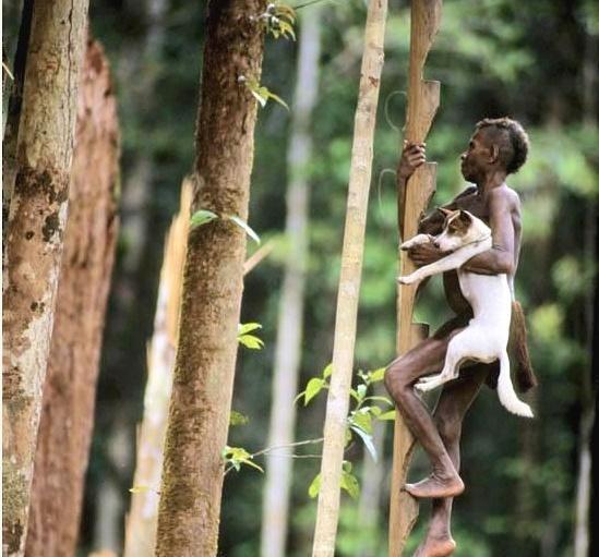 印尼神秘“食人”部落, 仍生活在石器时代, 常年居住在树上!