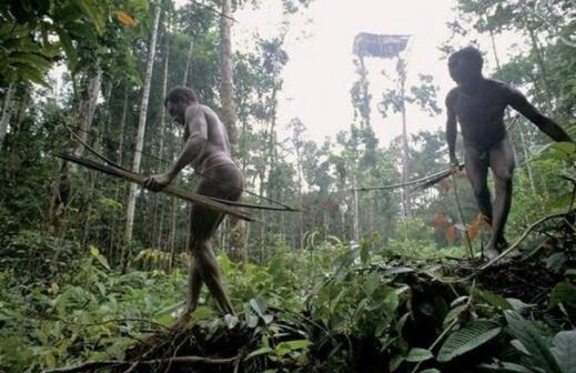 印尼神秘“食人”部落, 仍生活在石器时代, 常年居住在树上!