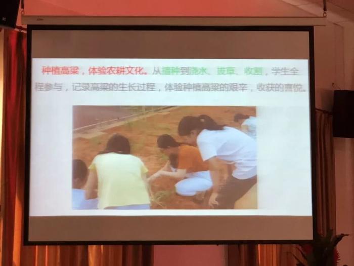 共融双赢，创建“和美”教育文化——小学美术组教研活动