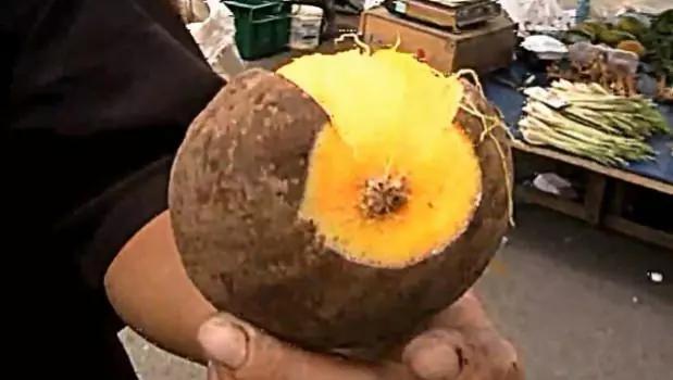 印度街头卖椰子的切开后变芒果，印度的水果都这么皮吗？