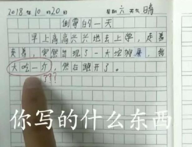 小学生们真敢写作文！女老师生气地问家长，父亲看完后，马上道歉