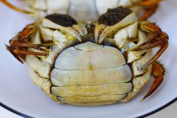 这个季节的螃蟹最肥美，这样做不流黄没腥味，好吃到口水直流！